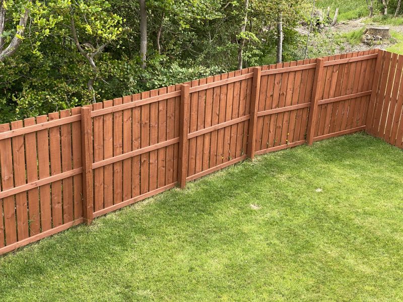 Fenced Yard